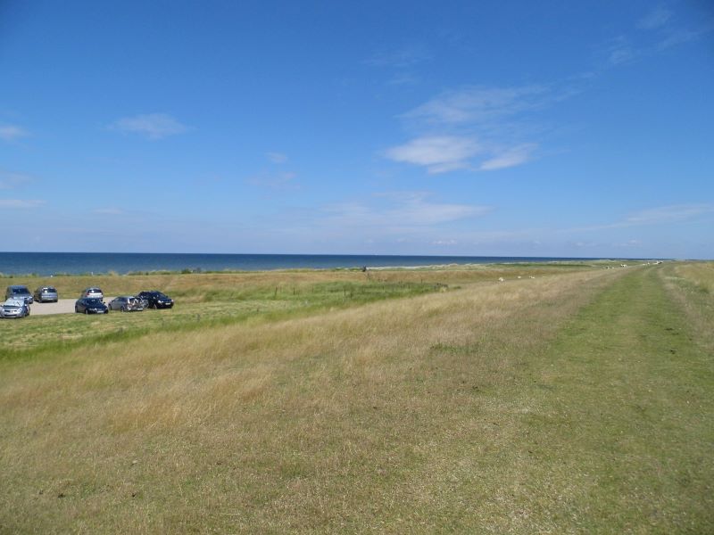 Deich mit Blick auf den Fehmarnbelt