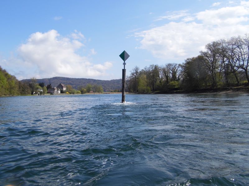 auf dem Hochrhein bei der Bibermündung