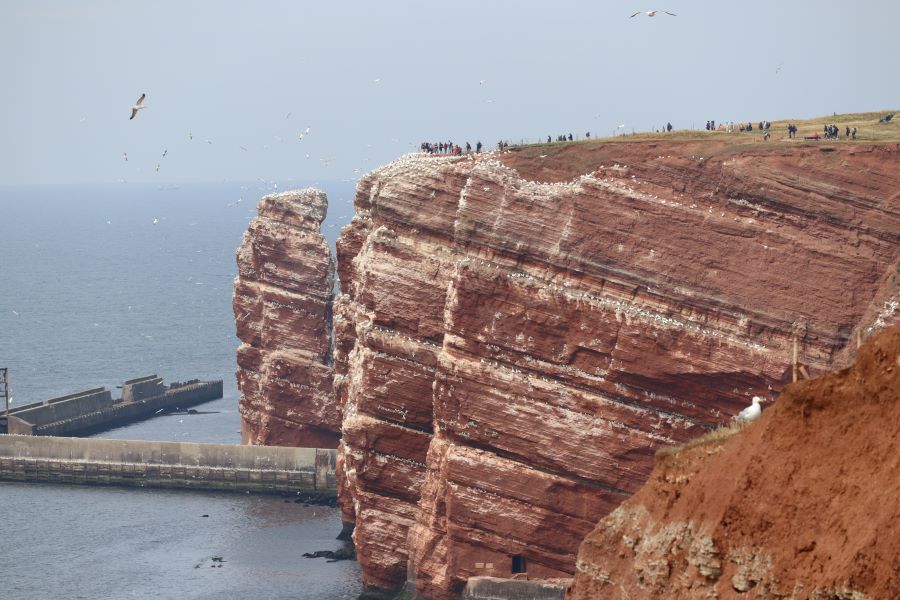 eine Helgoland-Attraktion