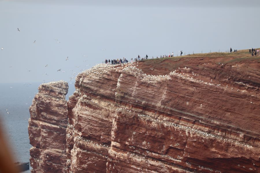 eine Helgoland-Attraktion