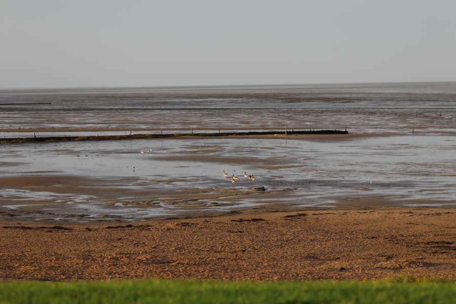 das Wattenmeer