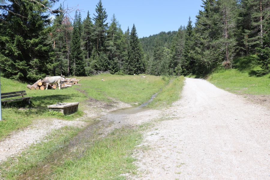 Wanderung zw. Mösern und See