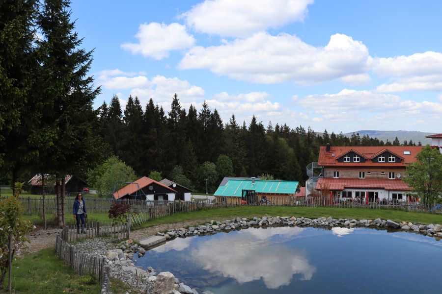 der Teich im Hundefreilauf