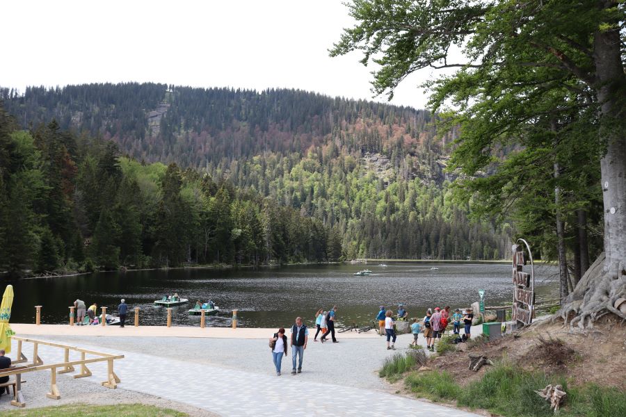 Großer Arbersee
