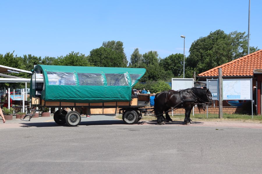 Kutsche zum Kap Arkona