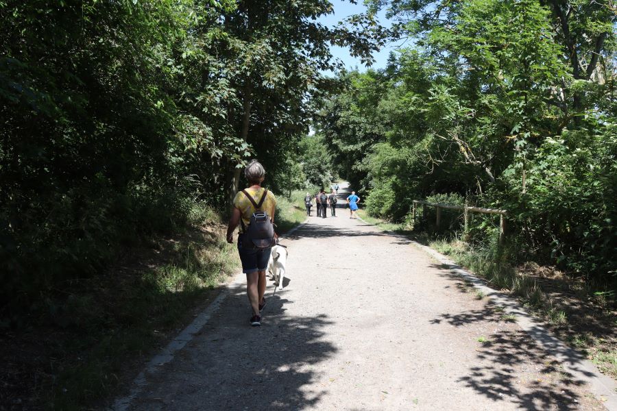 Spaziergang beim Kap Arkona